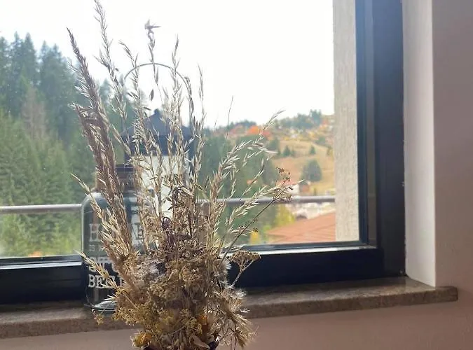 Escape House * Stoykite