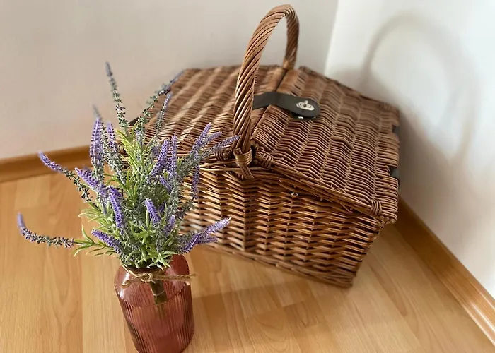 Escape House * Stoykite